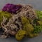 SuperMoss&#xAE; Purple &#x26; Green Preserved Mixed Moss